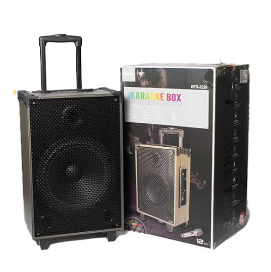 BTS-2229 12” Portable Karaoke Speaker